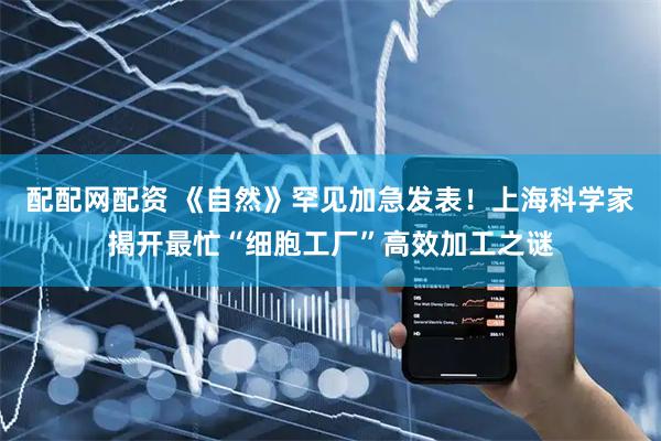 配配网配资 《自然》罕见加急发表！上海科学家揭开最忙“细胞工厂”高效加工之谜
