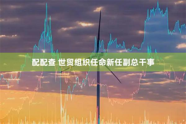 配配查 世贸组织任命新任副总干事