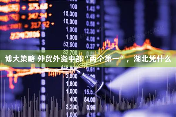 博大策略 外贸外资中部“两个第一”，湖北凭什么