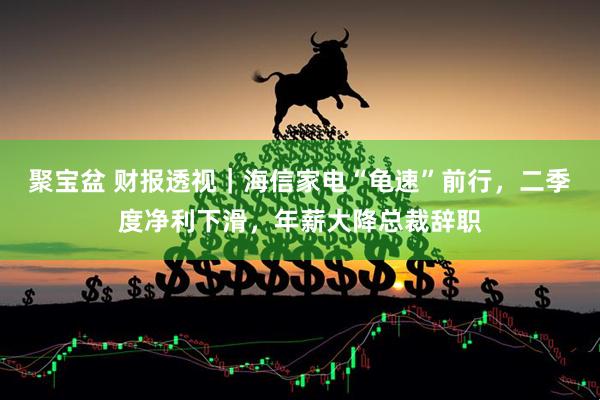 聚宝盆 财报透视｜海信家电“龟速”前行，二季度净利下滑，年薪大降总裁辞职