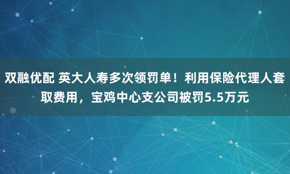双融优配 英大人寿多次领罚单！利用保险代理人套取费用，宝鸡中心支公司被罚5.5万元