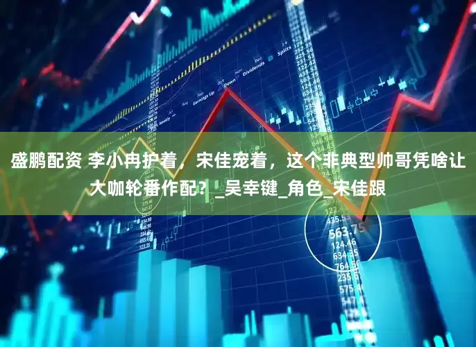 盛鹏配资 李小冉护着，宋佳宠着，这个非典型帅哥凭啥让大咖轮番作配？_吴幸键_角色_宋佳跟